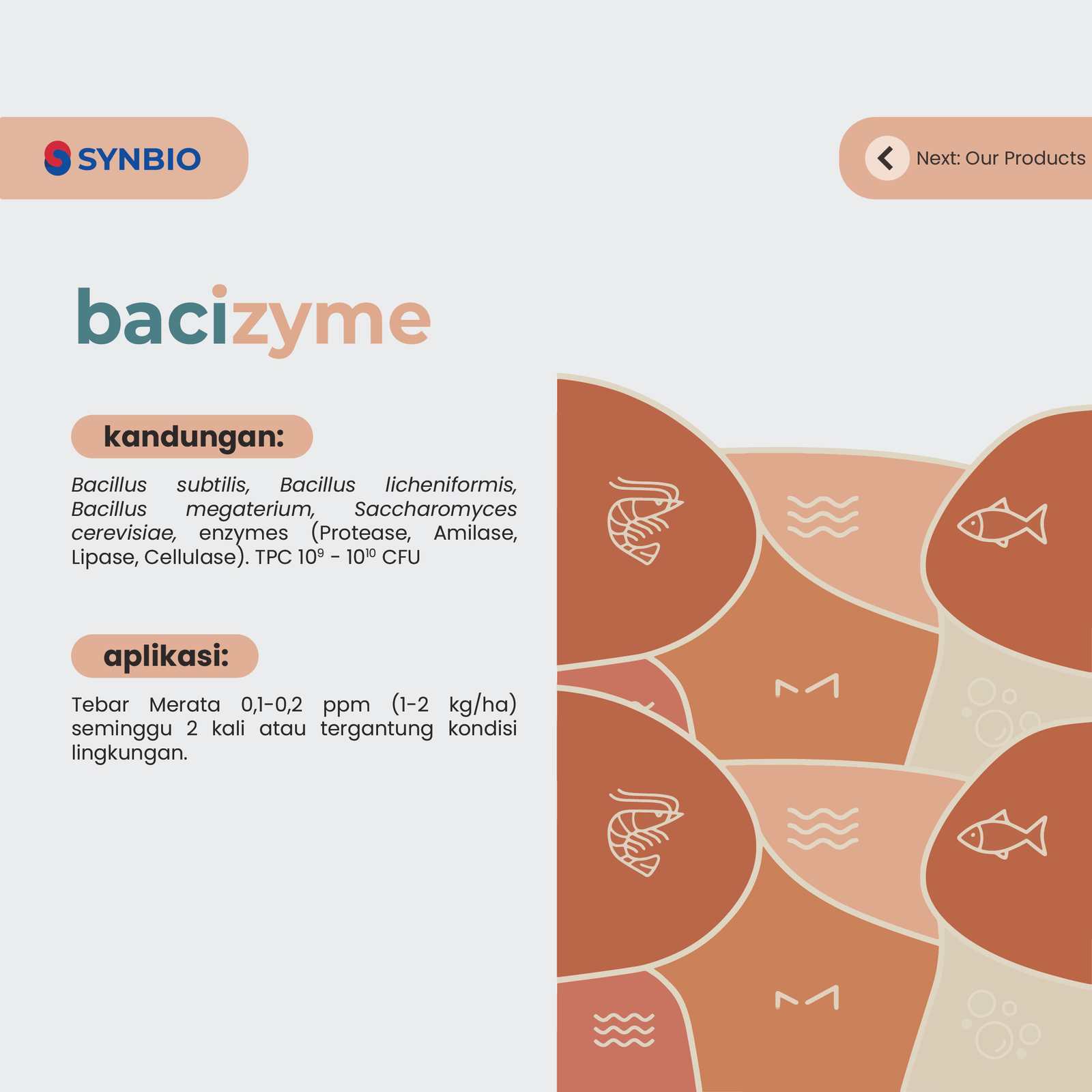 bacizyme - Kombinasi Bacillus & Multi-Enzim untuk Bioremediasi Air & Mengurai Limbah Organik 1 kg - Gambar 4