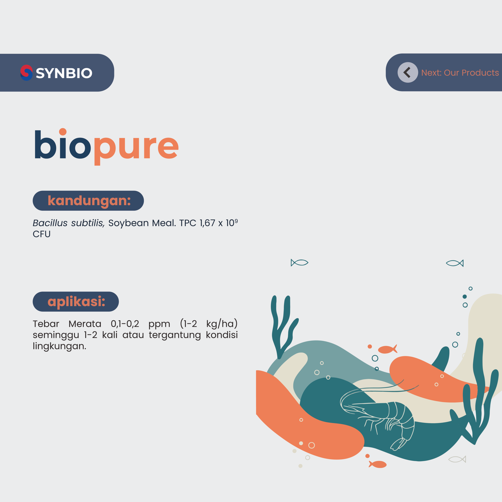 Biopure: Probiotik Bacillus Subtilis Murni untuk Ekosistem Tambak Sehat (1 kg) - Gambar 3