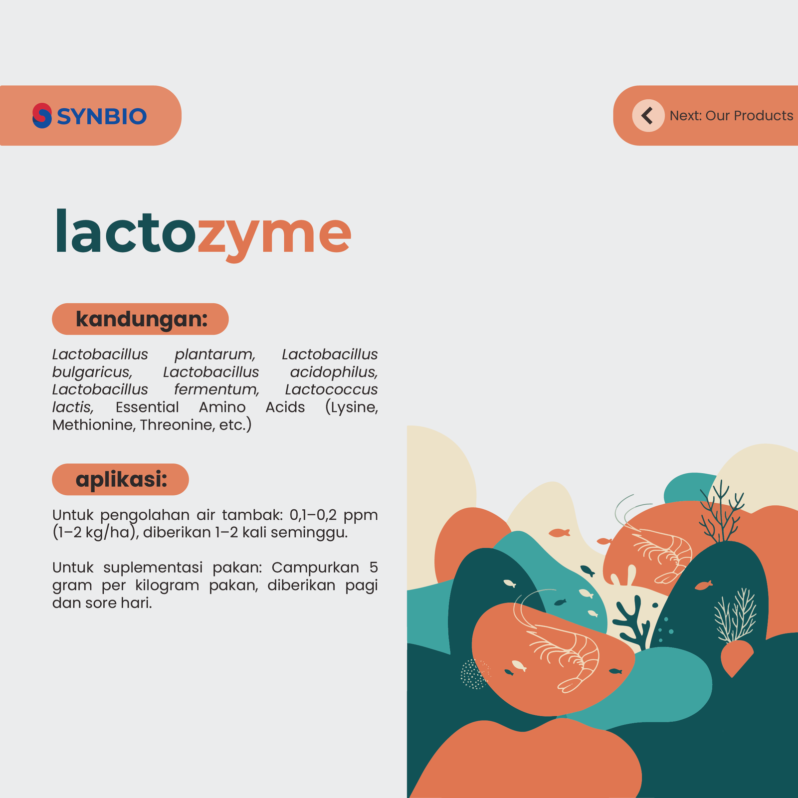 lactozyme - Probiotik Lactobacillus dilengkapi Asam Amino Esensial untuk Kesehatan Ikan dan Udang 1 kg - Gambar 5
