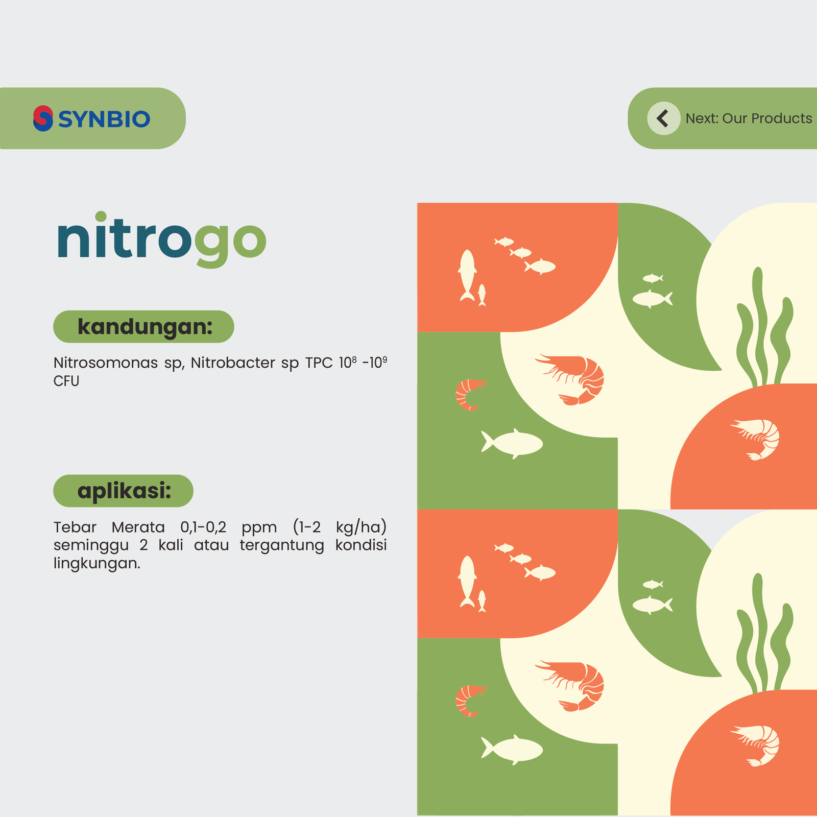 nitrogo - Bakteri Nitrifikasi Pengurai Amonia dan Nitrit di Tambak Udang dan Ikan dengan Nitrobacter dan Nitrosomonnas 1 k - Gambar 3