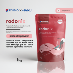 Produk Rodonix Probiotik Bakteri Fotosintetik Rhodobacter untuk Mengurai H2S Tambak