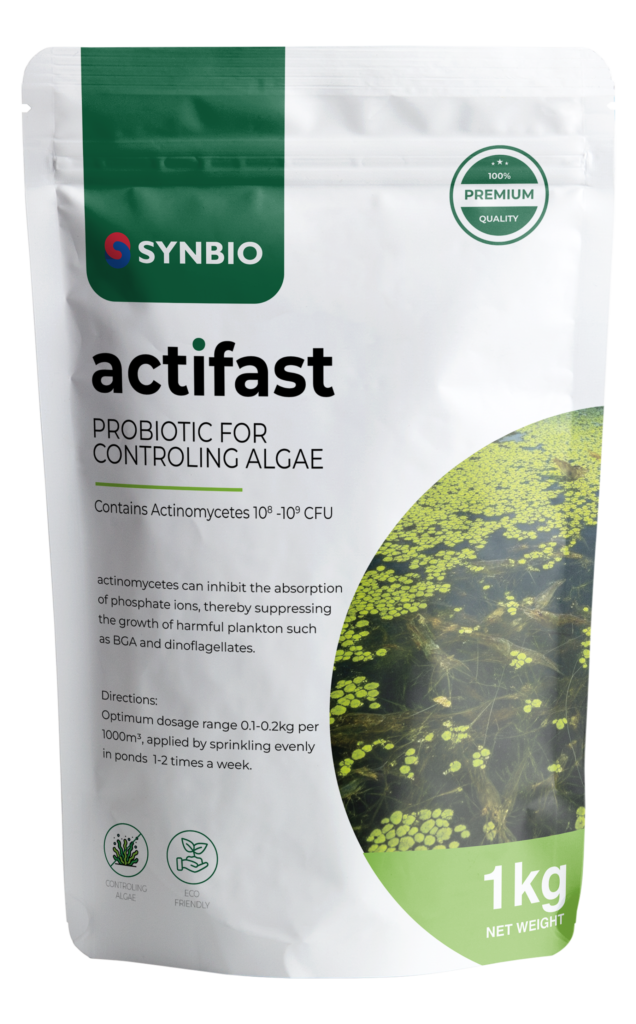 Kemasan actifast