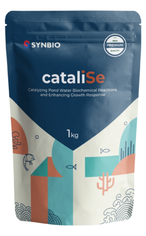cataliSe