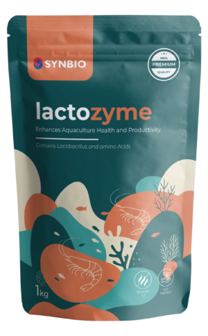 lactozyme