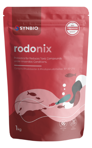 rodonix