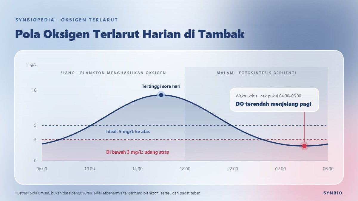 Grafik pola oksigen terlarut harian di tambak udang, paling rendah menjelang pagi