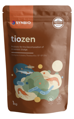 tiozen